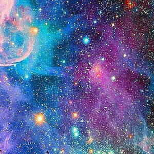 Meet your Posher, Talea